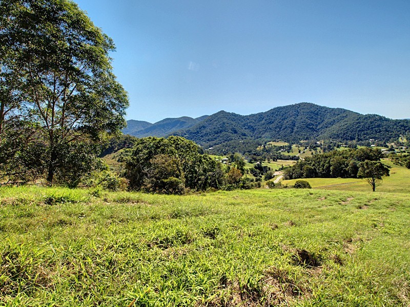 Lot 8 Morrison Road, Cedar Creek QLD 4520