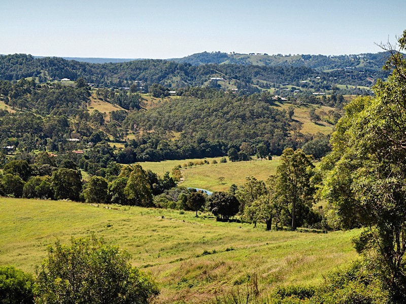 Lot 8 Morrison Road, Cedar Creek QLD 4520