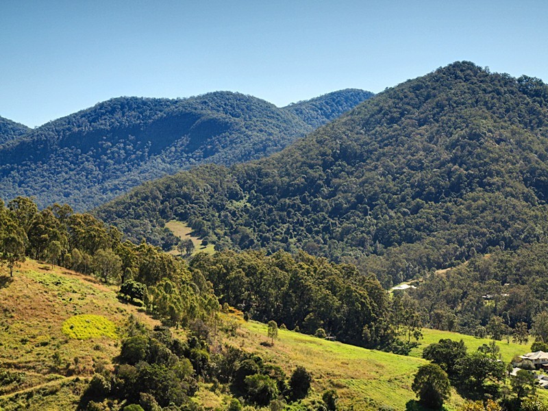 Lot 8 Morrison Road, Cedar Creek QLD 4520