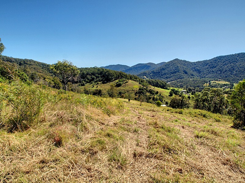 Lot 8 Morrison Road, Cedar Creek QLD 4520