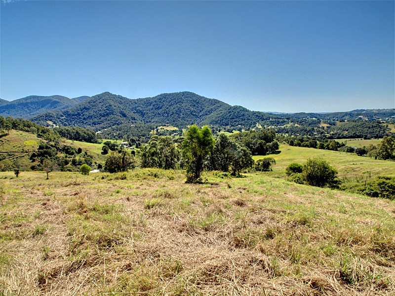 Lot 8 Morrison Road, Cedar Creek QLD 4520