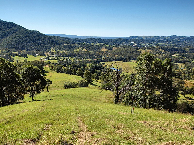 Lot 8 Morrison Road, Cedar Creek QLD 4520