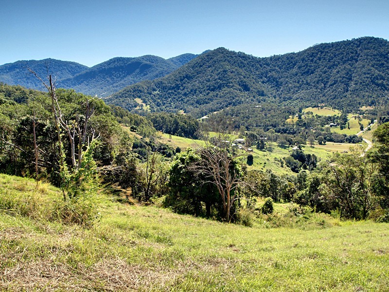Lot 8 Morrison Road, Cedar Creek QLD 4520