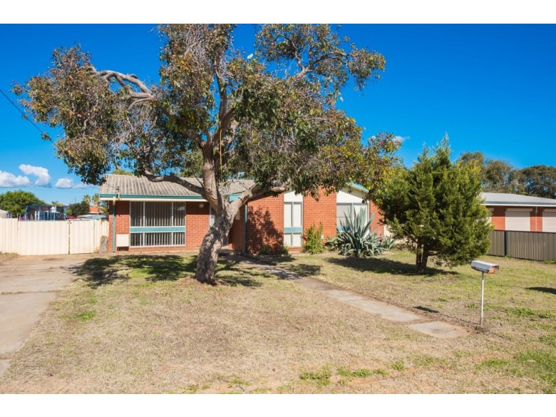 18 Adelaide Street, Waggrakine WA 6530