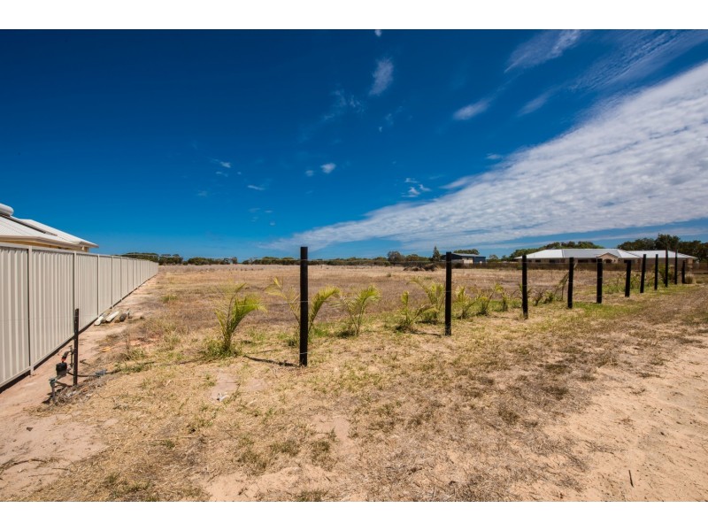 443 Alexander Drive, Glenfield WA 6532