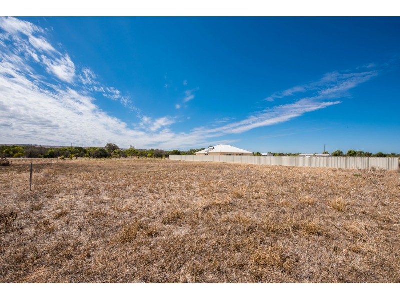 443 Alexander Drive, Glenfield WA 6532