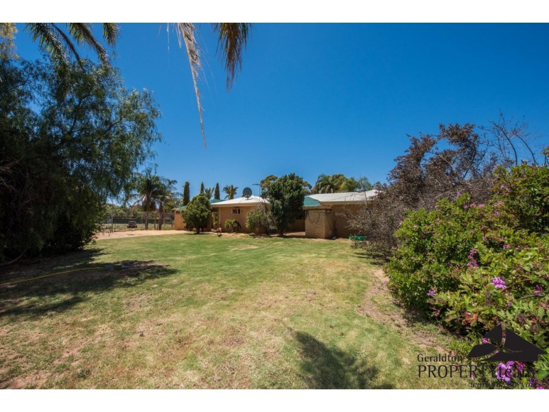 9 Logue Court, Walkaway WA 6528