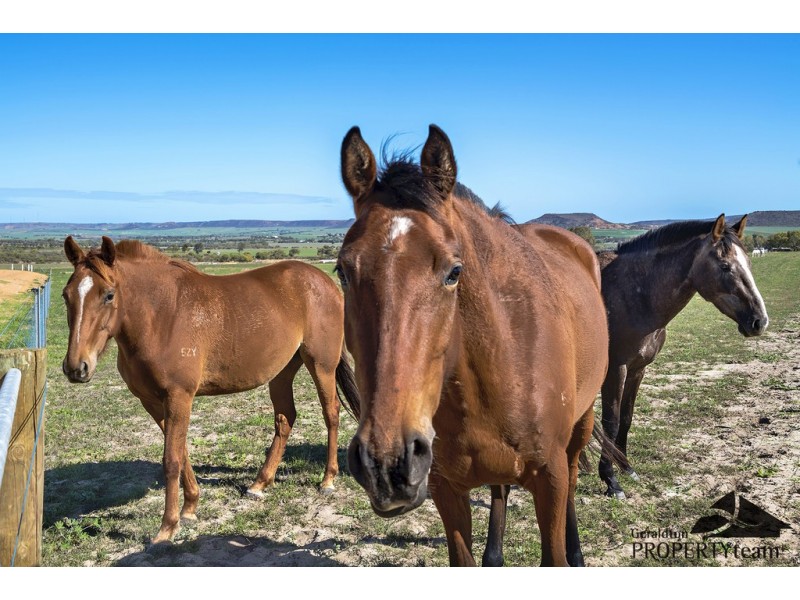 Lot 80 Chapman Valley Road, Nanson WA 6532