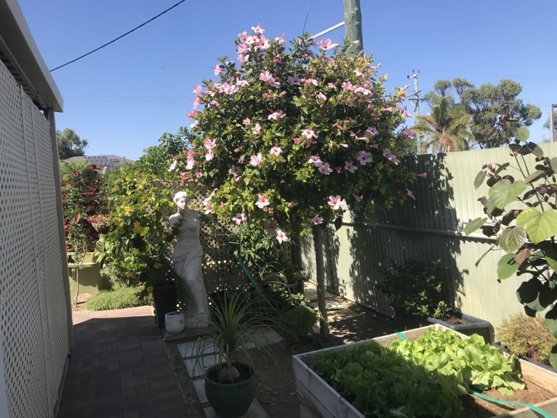 Site 105 Jurien Bay Caravan Park, Jurien Bay WA 6516