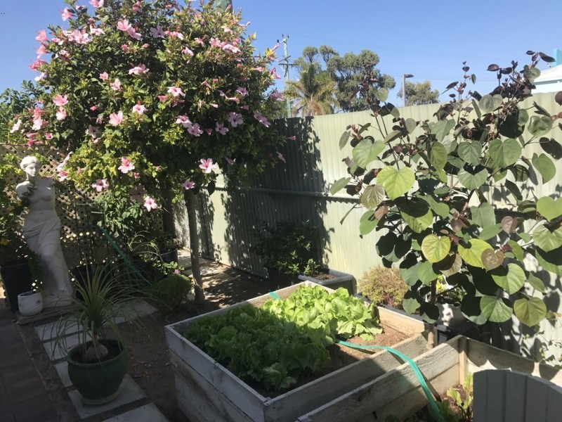 Site 105 Jurien Bay Caravan Park, Jurien Bay WA 6516