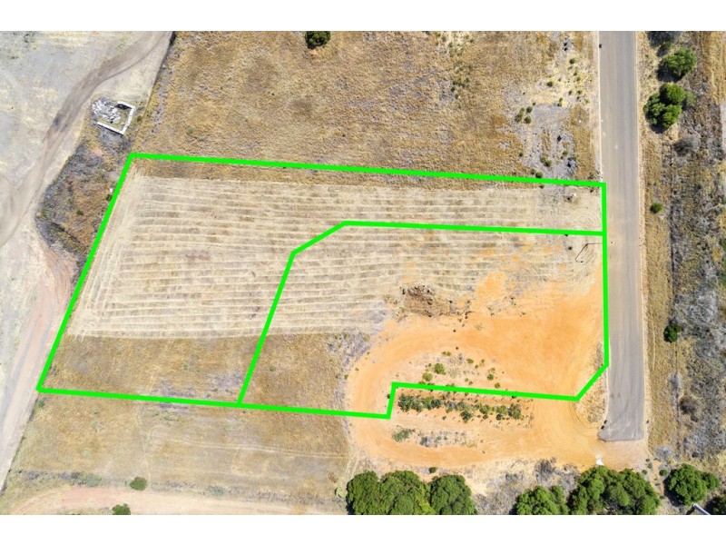 24 Guidara Street, Webberton WA 6530