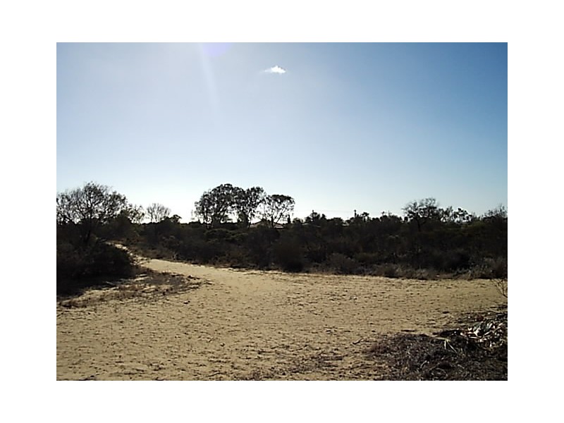 504 David Road, Waggrakine WA 6530