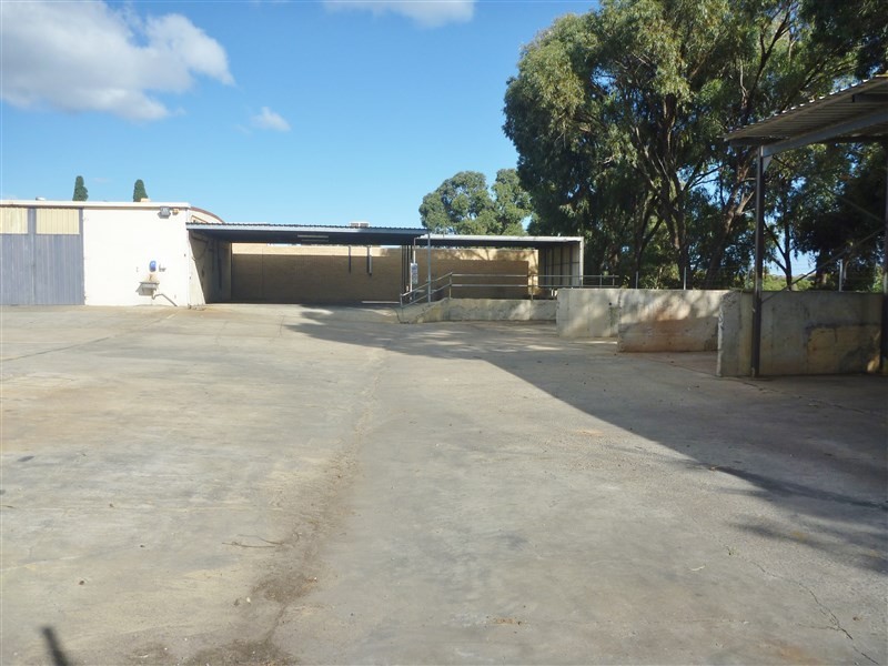 15 Eaton Place, Wonthella WA 6530