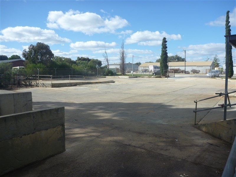 15 Eaton Place, Wonthella WA 6530