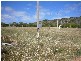 839 Chapman Road, Glenfield, Glenfield WA 6532