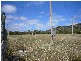 839 Chapman Road, Glenfield, Glenfield WA 6532