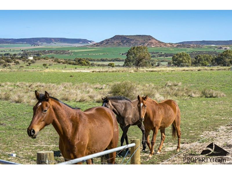 Prop Lot 79 Carney HIll, Nanson WA 6532