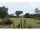 6 Mills Road, Moresby WA 6530