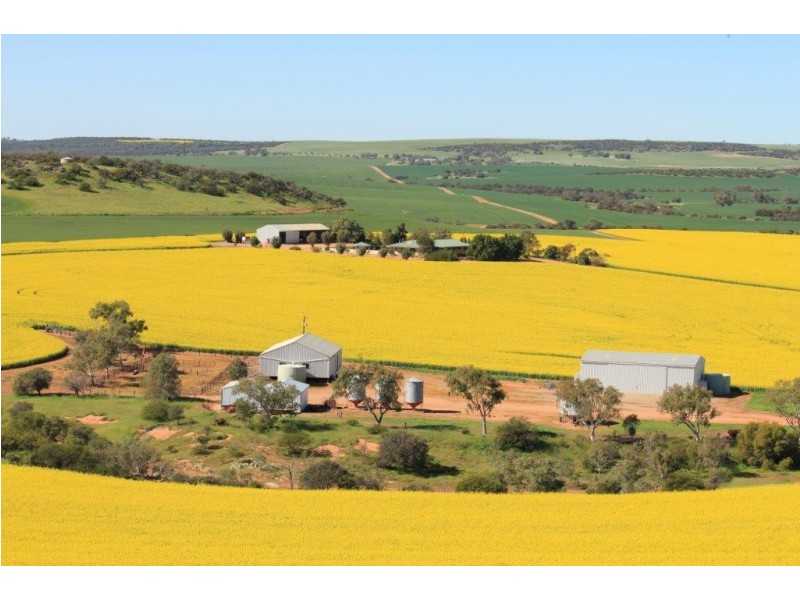 1104 Newmarracarra Road, Narra Tarra WA 6532