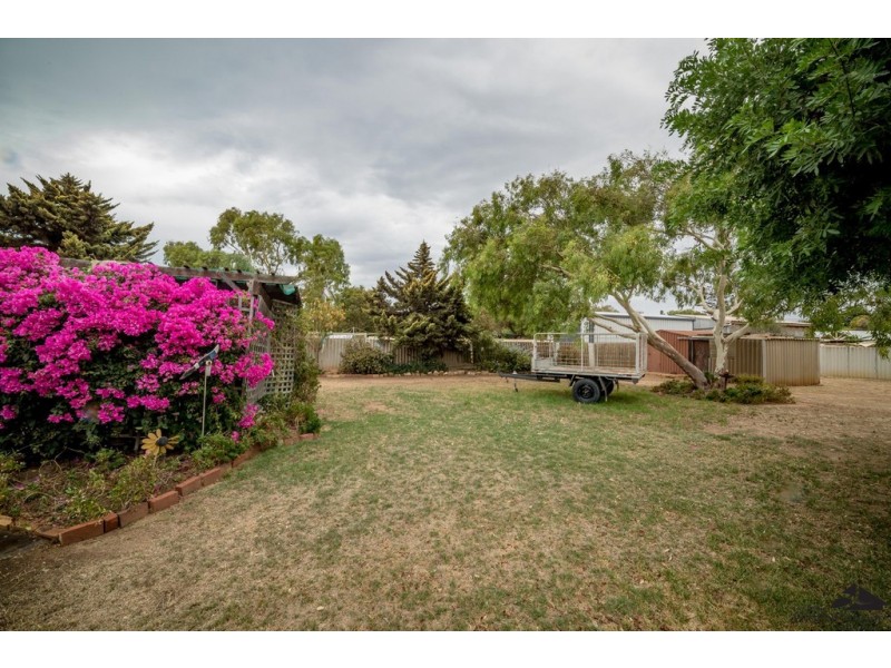 8 Houston Street, Spalding WA 6530