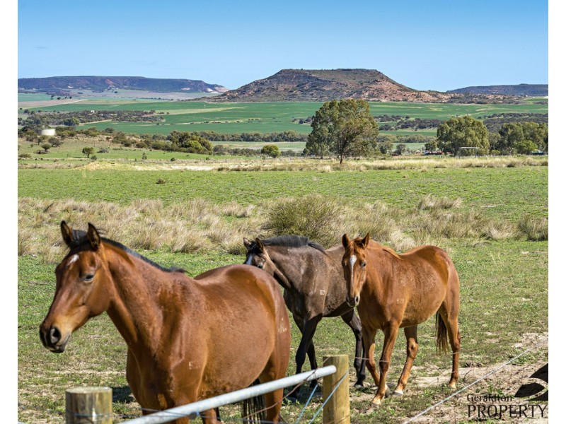 Lot 81 Beaufort Close, Narra Tarra WA 6532