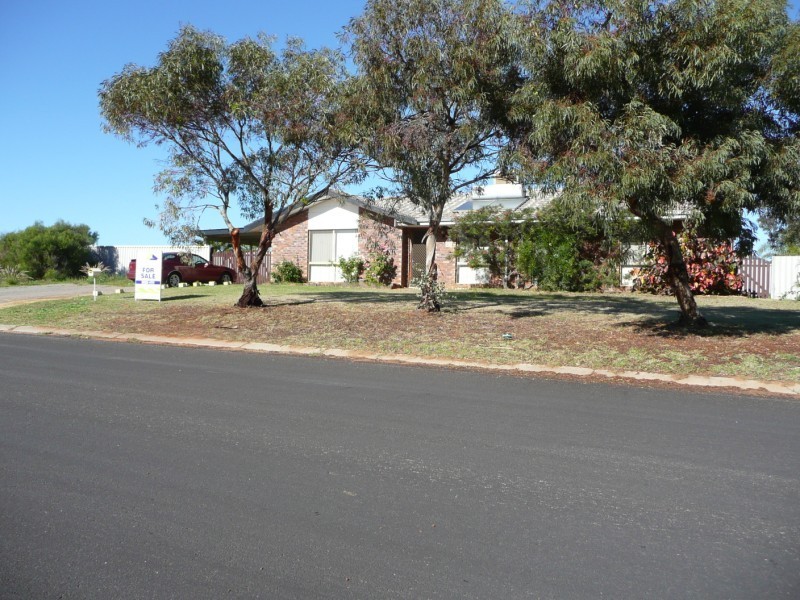 28 Solomon Circle, Karloo WA 6530