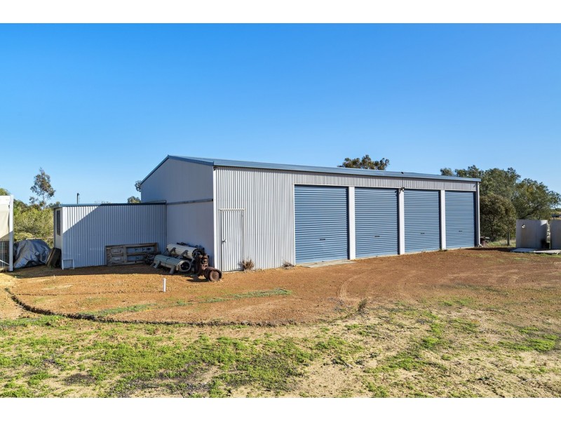 37 Calder Place, Waggrakine WA 6530