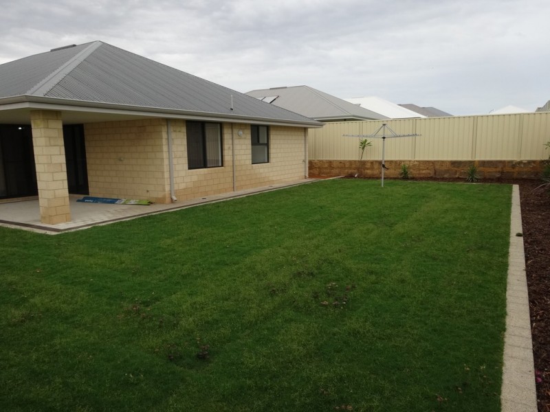 11 Colarmi Brace, Wandina WA 6530