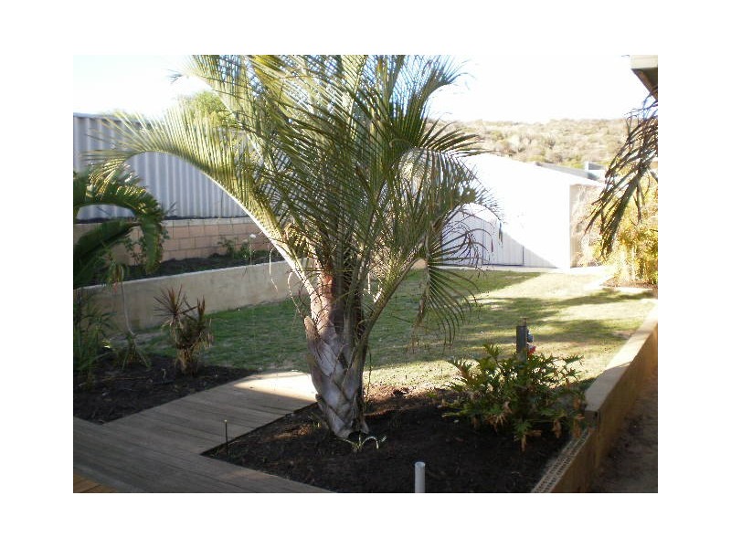 3 Columbus Blvd, SEACREST, Geraldton WA 6530