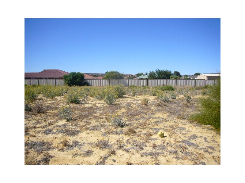 10 Wahn Avenue, Waggrakine WA 6530