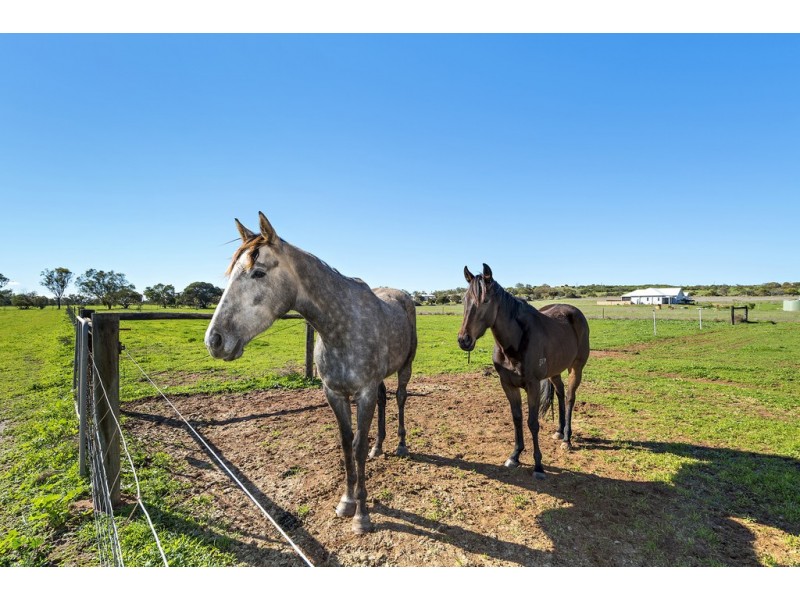 3 Hill River Way, Moonyoonooka WA 6532