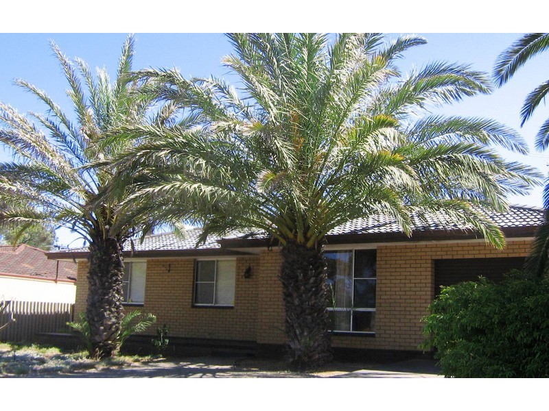 8 Koolinda Street, Geraldton WA 6530