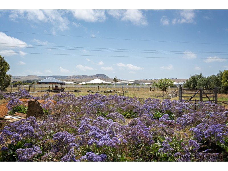 11 Leicester Close, Deepdale WA 6532