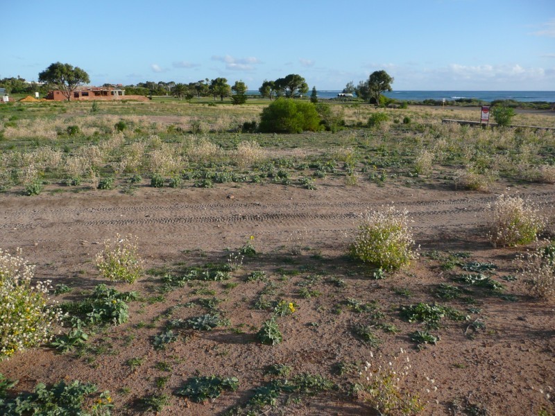 5 Boat Cove, Drummond Cove WA 6532