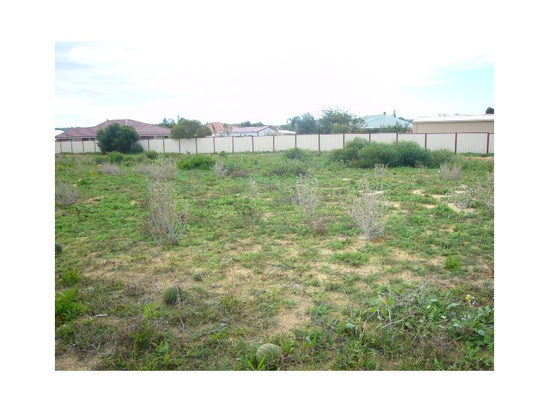 8 Wahn Avenue, Waggrakine WA 6530