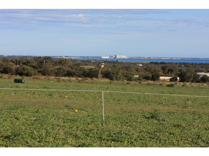 95 Cooper Street, Waggrakine WA 6530