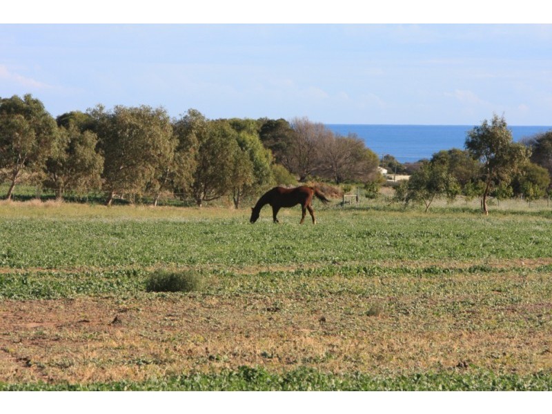 95 Cooper Street, Waggrakine WA 6530