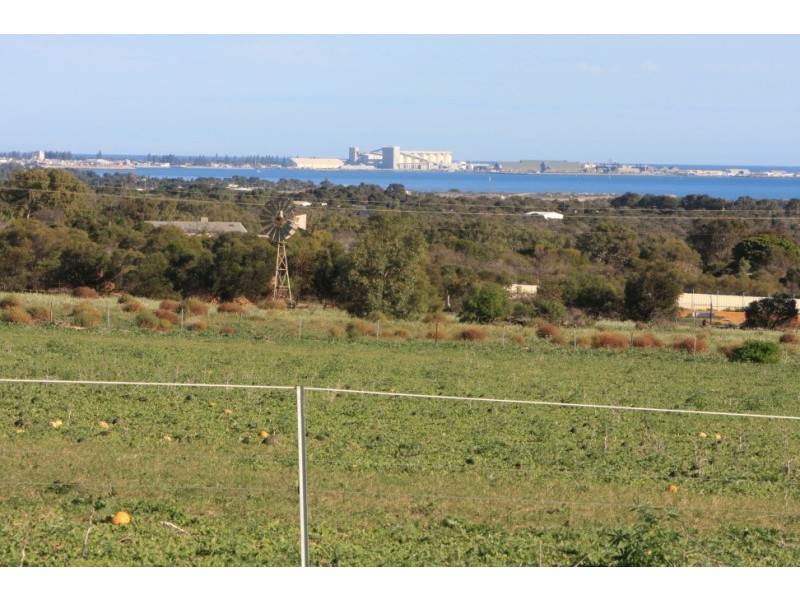 95 Cooper Street, Waggrakine WA 6530