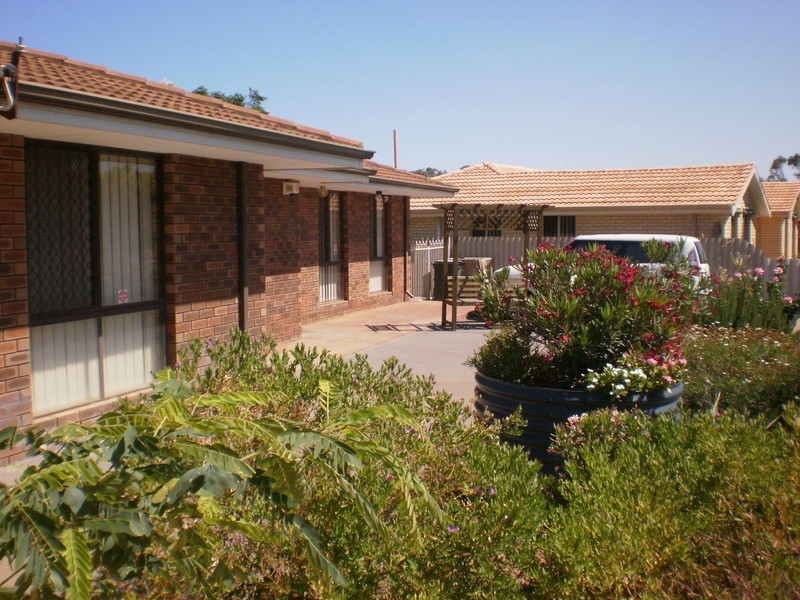 17 Robinson Street, Spalding WA 6530