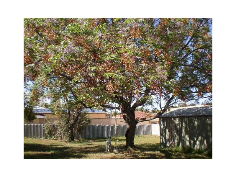 5 Caprice Road, Geraldton WA 6530