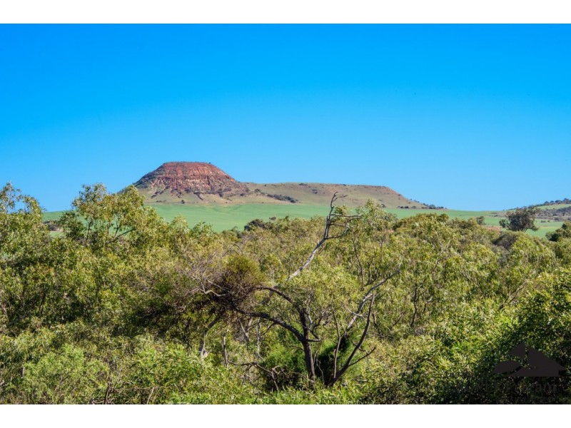 17 Hill River Way, Moonyoonooka WA 6532