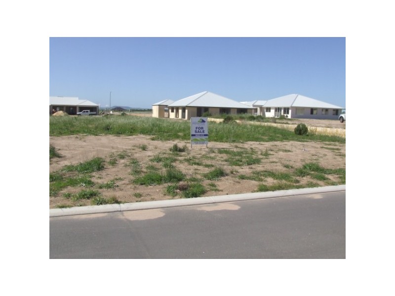 16  Carmela, Wandina WA 6530