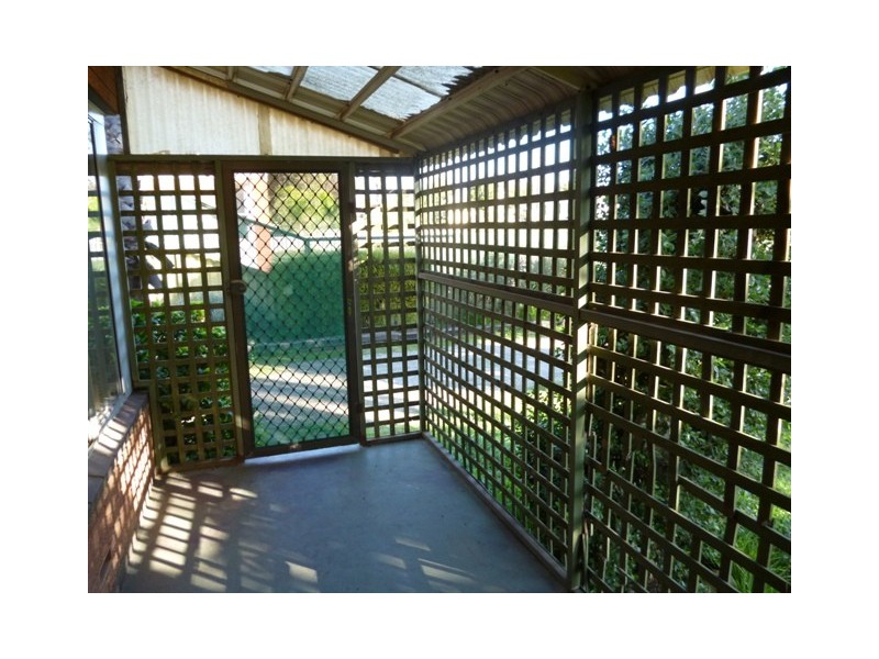 19 Diosma Street, Rangeway WA 6530