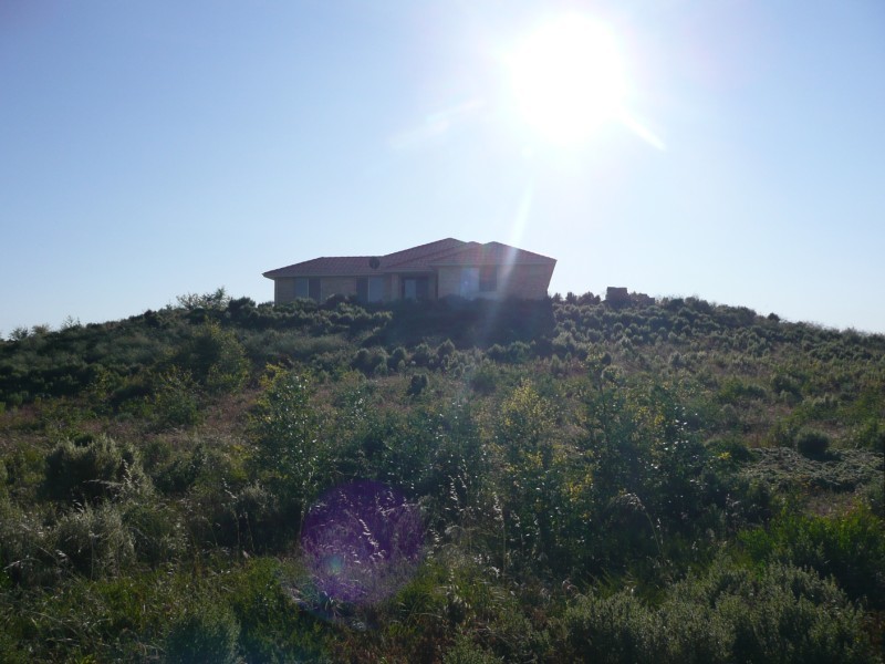 40 african reef, Greenough WA 6532