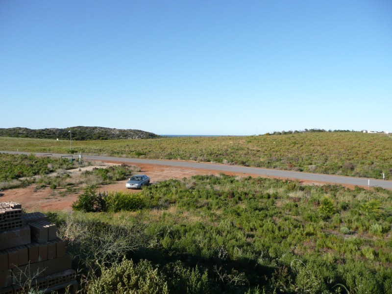 40 african reef, Greenough WA 6532