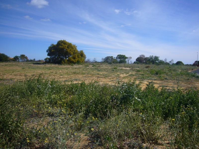 13 Wahn Ave, Waggrakine WA 6530