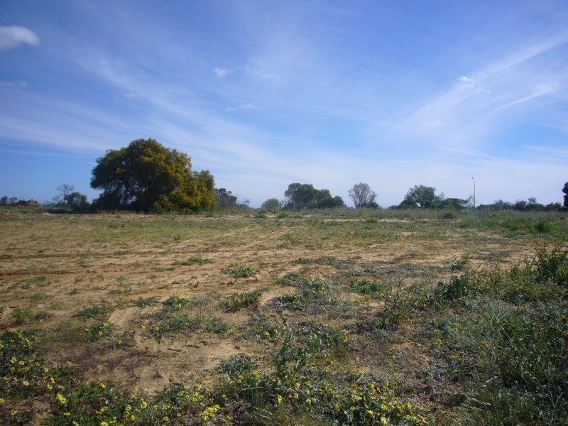 13 Wahn Ave, Waggrakine WA 6530