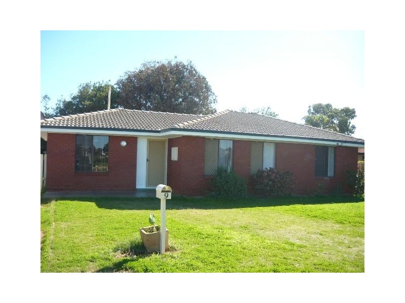 9 Craig Court, Spalding WA 6530