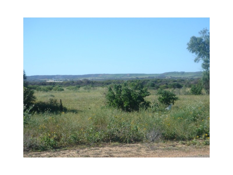 4 Adelaide Street, Waggrakine WA 6530