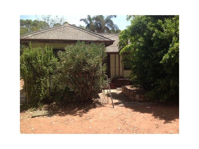 16 Elphick Avenue, Bluff Point WA 6530